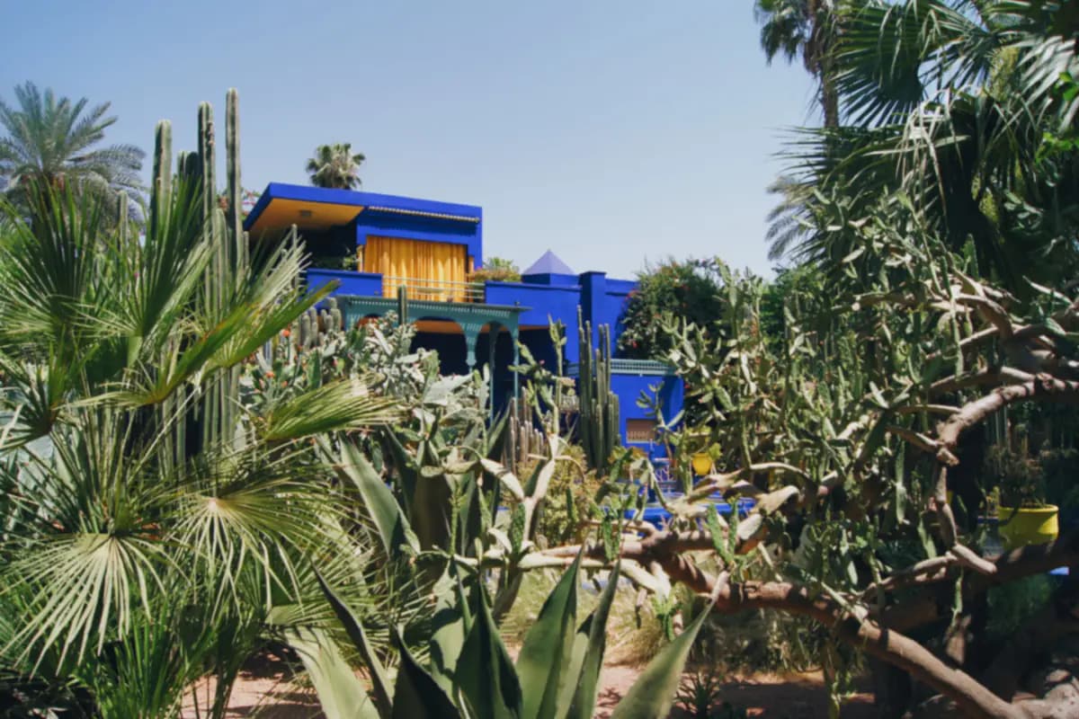 A cobalt blue villa with yellow details behind cacti, palms and agaves in the Majorelle Garden in Marrakech