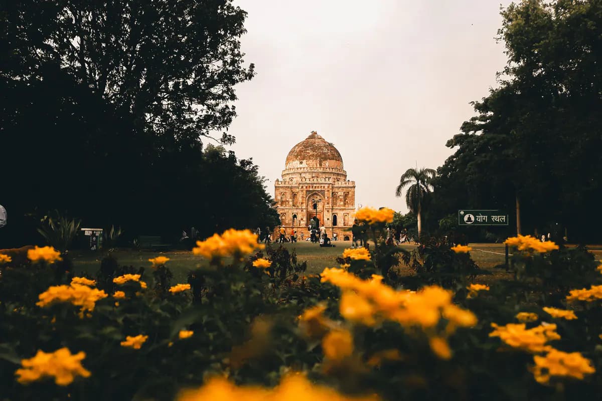 Yellow flowers in front of a lawn lined with trees, with the domed Bara Gumbad tomb in the distance in a New Delhi park
