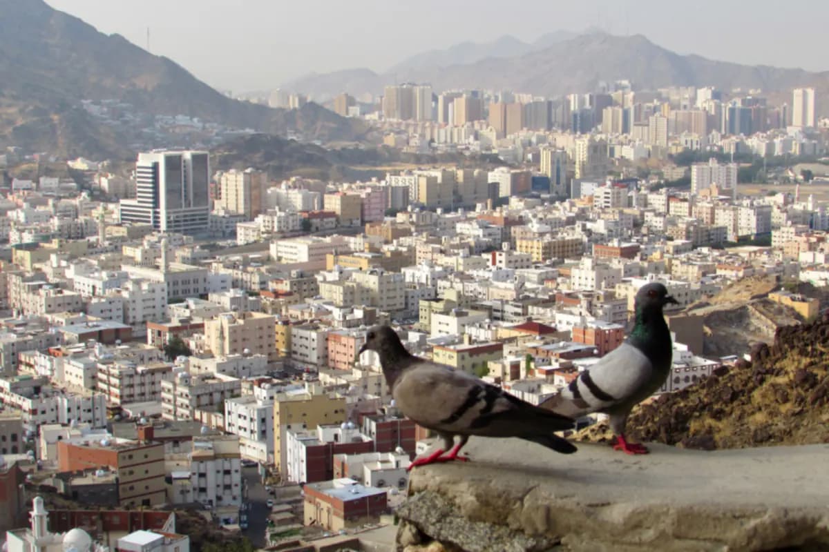 Two pigeons on a stone ledge above the buildings of Makkah, with rocky mountains behind
